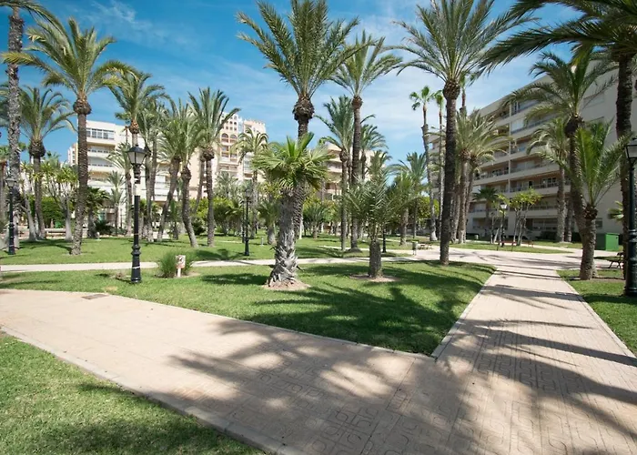 093 - Mil Palmeras Dream