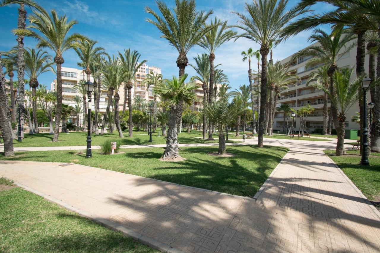 Apartment 093 - Mil Palmeras Dream *